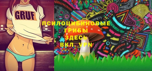 2c-b Осташков