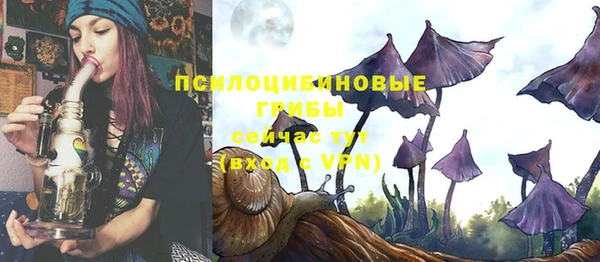дживик Остров