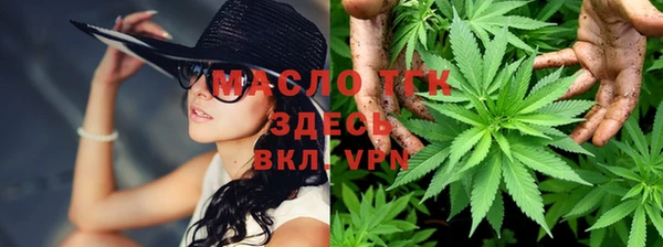 тгк Алексин